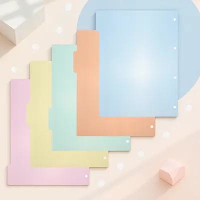 Index Tab Divider - 10 Adet Plastik Bölme Etiketi, Çok
